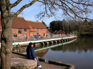 Eling Tide Mill