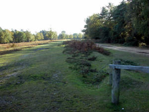 great-linford-track.jpg