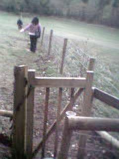 kissing gate