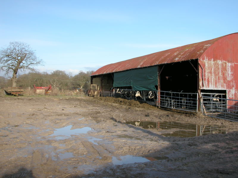 wansteadfarm.jpg