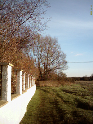 witewashed wall manor farm